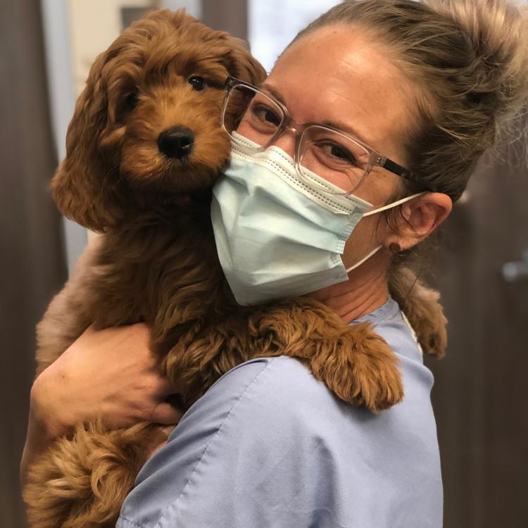 Arizona Animal Wellness Center Gilbert, AZ